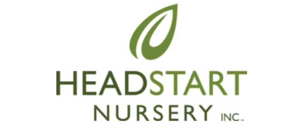 headstart nursery
