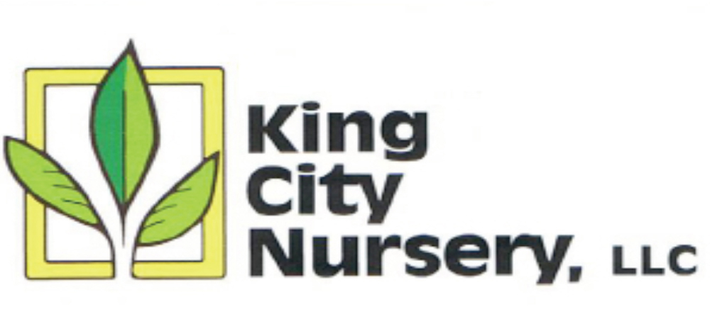 king city nursery
