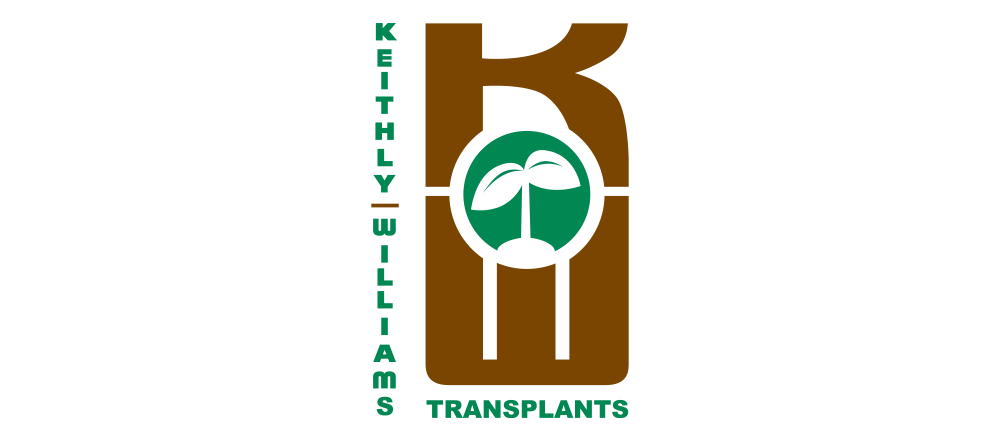 keithly williams transplants