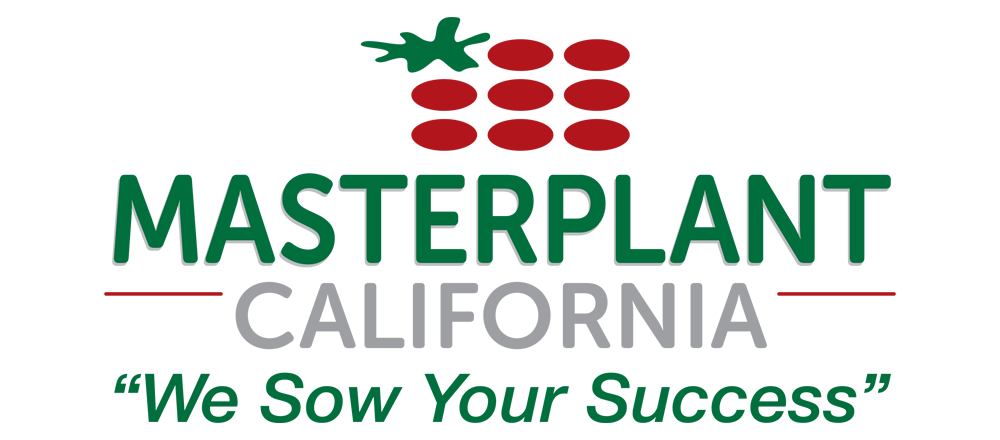 masterplant california