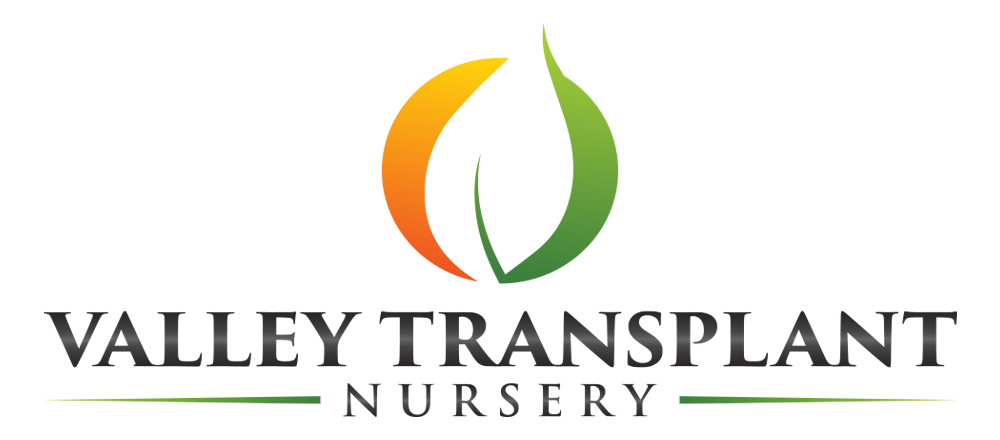 valley transplant nursery
